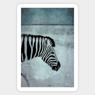 Zebra Sticker